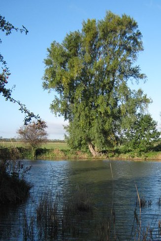 littlestourjunction.jpg - 52682 Bytes