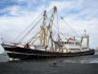 news reports of merchant shipping